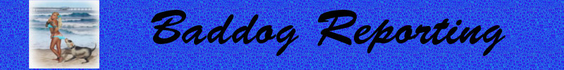 Baddog Header